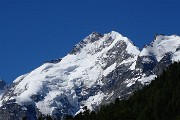 12 Maxi zoom sul Piz Bernina (4050 m)